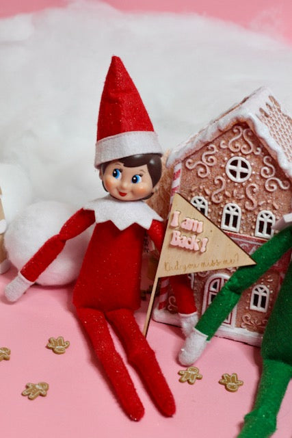 Elf on the Shelf Kit - 12 days